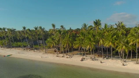 Aerial view of white sandy beach with palm trees at San Juan in Siquijor Island, Stock Footage 119519959