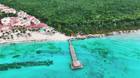 Aerial view of white sandy beach, green palm trees and turquoise ocean. Vidéo 252243301