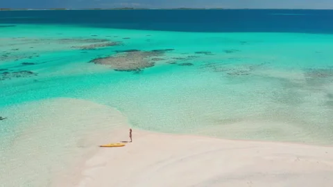 Aerial view of white sandy beach with palm trees Stock Footage 278524310