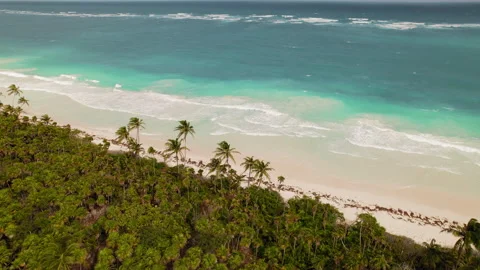 Aerial view of white sandy beach shoreline with dense palm tree forest in Mexico Stock Footage 341358531