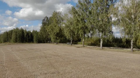 Aerial view of white soviet retro car driving on dirt road through tree alley Stock Footage 127849706