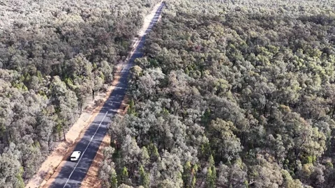 Aerial View of White Van Driving Through Australian Forest Highway Stock Footage 340863492