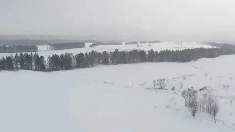 Aerial view of a wide area covered with fresh snow. Hokkaido, Japan Stock Footage 201279103