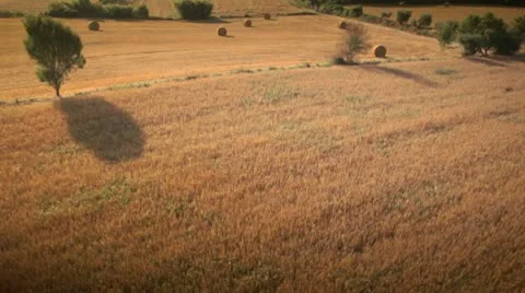Aerial view of wide fields Stock-Footage 9026796