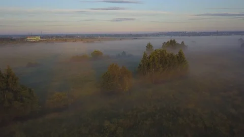 Aerial view of wide fields with soft natural light of sunrise sky Video stock 91880958