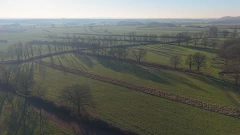 Aerial view of wide green fields divided by rows of leafless trees casting Stock-Footage 328727523
