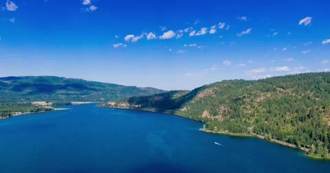 Aerial View of Wide River Flowing Through Dense Forest on a Sunny Day Stock Footage 314693588
