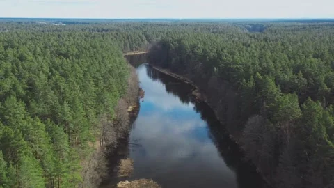 Aerial view of a wide river through dense forest Stock Footage 333837018