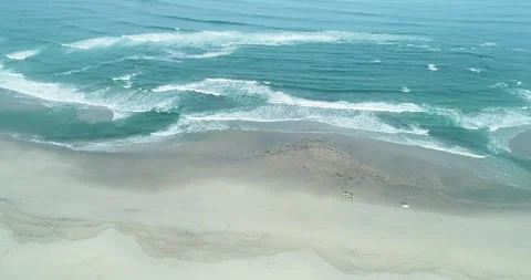 Aerial view of a wide sandy beach with coastal dunes The Concept of landsca.. Video stock 335762858