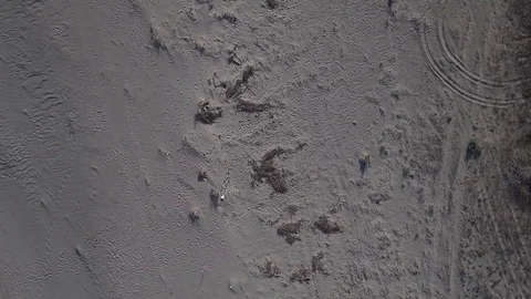 Aerial view of wild beach - 4K footage Stock Footage 84776186