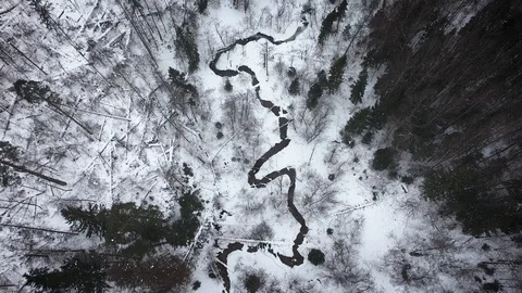 Aerial view of a wild cold winter forest Stock Footage 102211077
