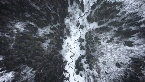 Aerial view of a wild cold winter forest. Flight to the clouds Stock Footage 102211138