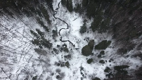 Aerial view of a wild cold winter forest Stock Footage 102211143