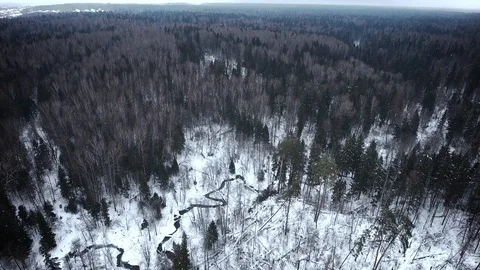 Aerial view of a wild cold winter forest Stock Footage 102211191