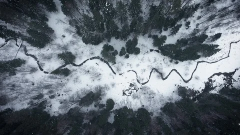Aerial view of a wild cold winter forest Stock Footage 102366734