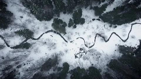 Aerial view of a wild cold winter forest Stock Footage 102366855