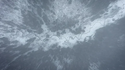 Aerial view of a wild cold winter forest Stock Footage 102366884