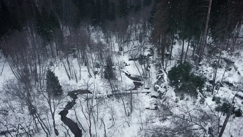 Aerial view of a wild cold winter forest Stock Footage 102850908
