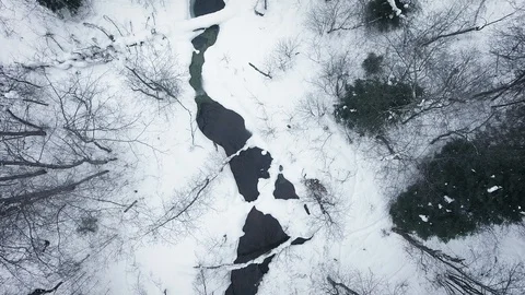 Aerial view of a wild cold winter forest Stock Footage 102851137