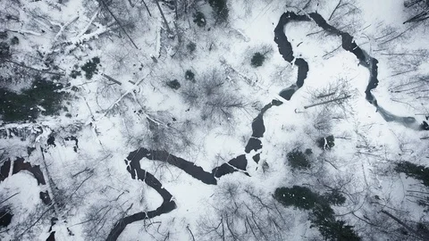 Aerial view of a wild cold winter forest Stock Footage 102851217