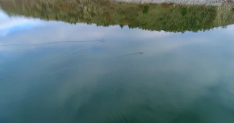 Aerial view wild ducks  are feeding near the mountain Stock Footage 85459199