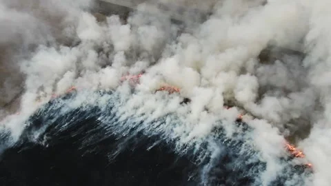 Aerial view of wild fire, burning field. Arson grass in spring, wildfire reason Stock Footage 132787205