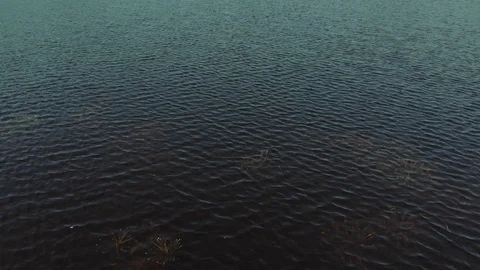 Aerial view of wild forest lake from Drone. Aerial view of lake From the drone Stock Footage 108282993