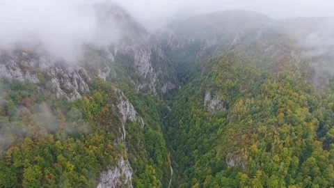 Aerial view of wild mountain gorge in Romania with scenic nature Stock Footage 235124783