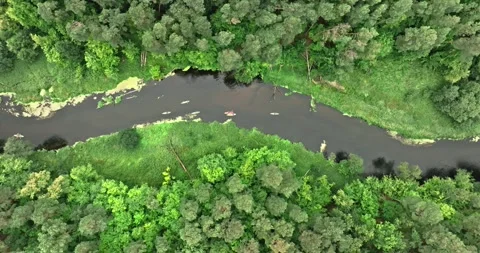 Aerial view of wild river kayaking in summer, Poland. Stock Footage 346555735