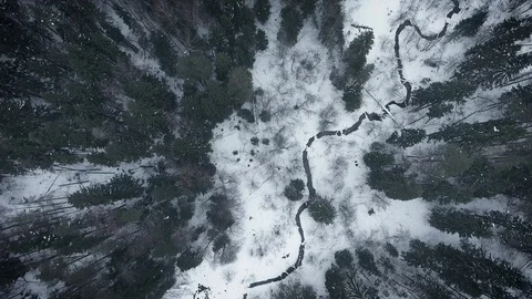 Aerial view of a wild winter forest. Fast panorama and flight over the forest Stock Footage 102850914