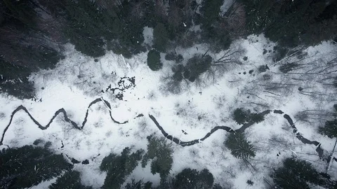 Aerial view of a wild winter forest. Panorama from the river to the forest. Stock Footage 102851074