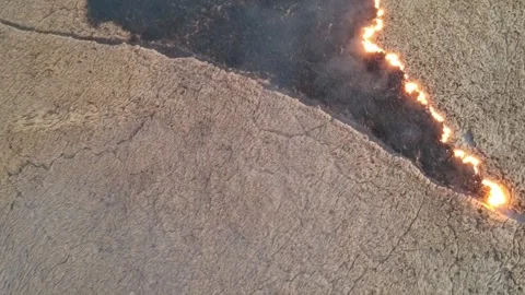 Aerial View of Wildfire Burning Dry Grass Field Line Stock Footage 345693537