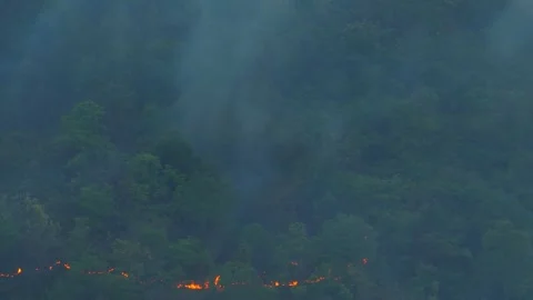 Aerial view of wildfire burning through tropical forest. Stock-Footage 333356085