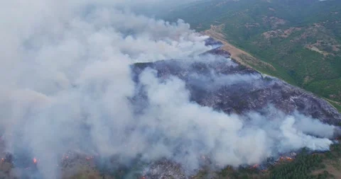 Aerial View of Wildfire Burning Through Mountain Forest Landscape Stock Footage 335426902