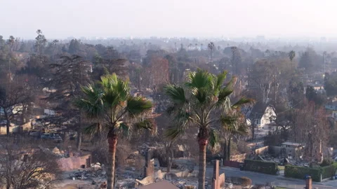 Aerial view of wildfire damage in Altadena neighborhood of Los Angeles Stock Footage 301654639