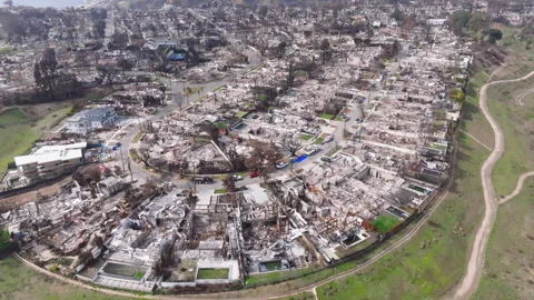 Aerial view of wildfire damage in Pacific Palisades, California Stock Footage 302389475