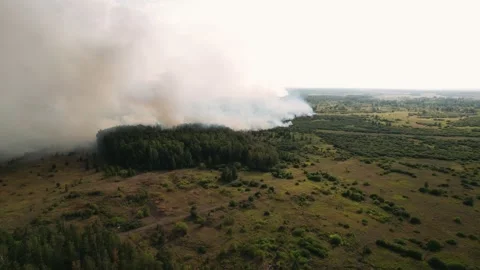 Aerial view of wildfire in forest. Burning forest and huge clouds of smoke.  Stock Footage 160321688