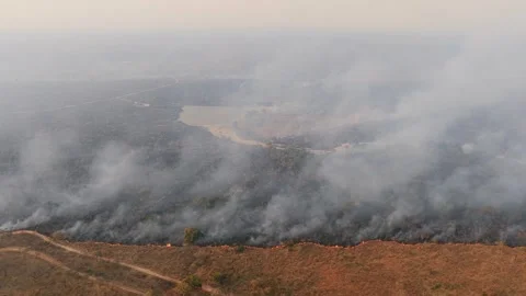 Aerial View Of Wildfire Forest Fire Burning With Smoke Drone Footage 動画素材 346241563