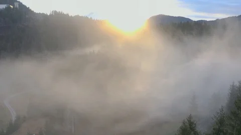 Aerial View of Wildfire in Forest Stock Footage 105477671