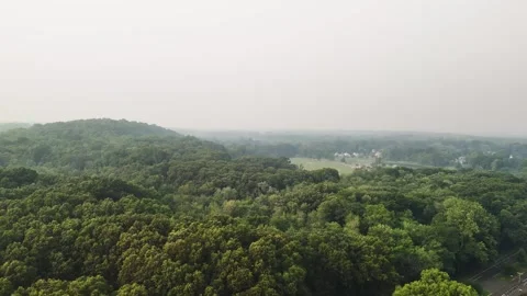 Aerial view of wildfire smoke drifting over a dense green forest... Vidéo 340291094