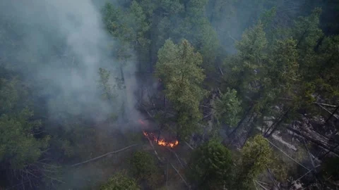 Aerial Up View Of Wildfire, Spreading Flames Of Forest Fire. Vídeo Stock 347653052