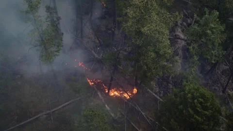 Aerial Up View Of Wildfire, Spreading Flames Of Forest Fire. Natural Disaster Stockbeeldmateriaal 347653056