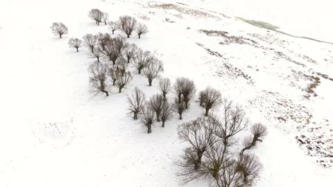 Aerial view of willow trees in snowy landscape in poland 스톡 동영상 331070570