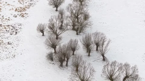 Aerial view of willows during a snowstorm in winter Stock-Footage 331070532