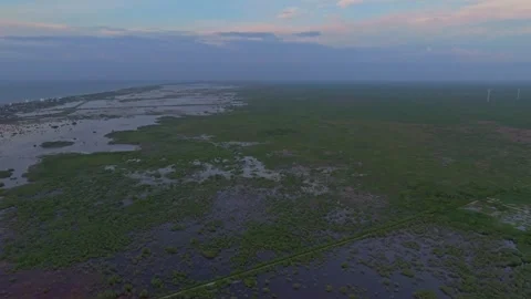 Aerial view of wind farm at dusk, Mexico. Stock-Footage 284847893
