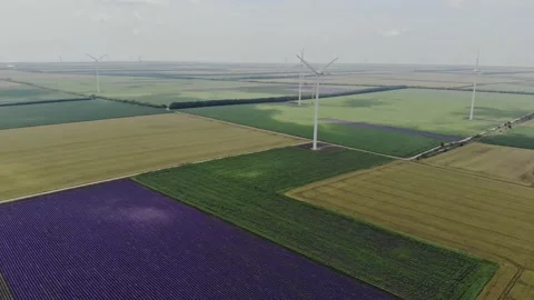 Aerial view of a wind farm. Video stock 159418955