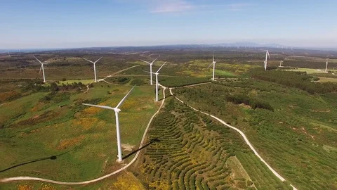 Aerial view of Wind Generating stations in green fields on a background of blue Stock Footage 75307243