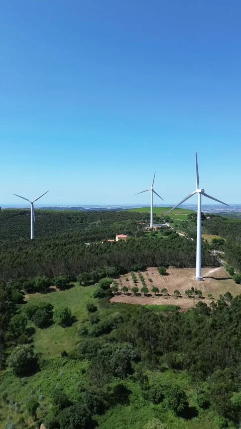 Aerial view | wind generation system and beautiful landscape Stock Footage 311056438