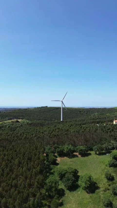 Aerial view | wind generation system and beautiful landscape Stock Footage 311056477