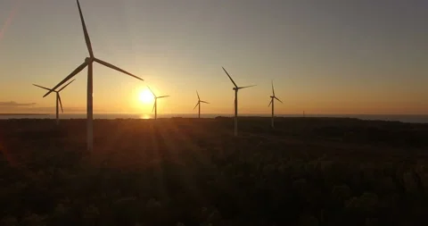 Aerial view of wind generators in the evening sky on the field. Video stock 87846724